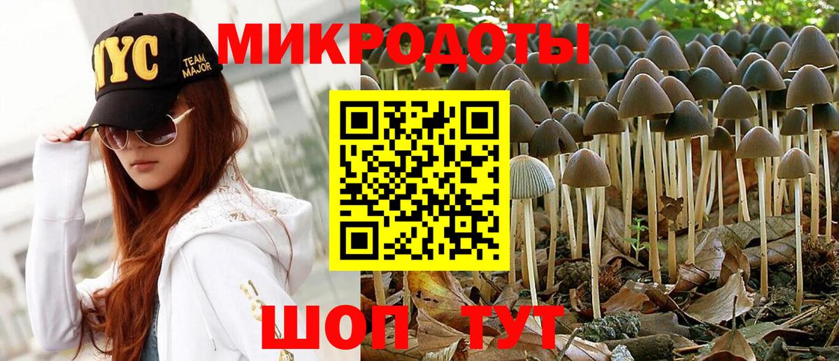 Псилоцибиновые грибы Cubensis  Галлюциногенные грибы прущие грибы  Лабытнанги  Вход с VPN 