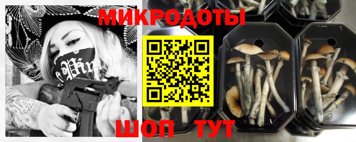 Галлюциногенные грибы мухоморы Лабытнанги